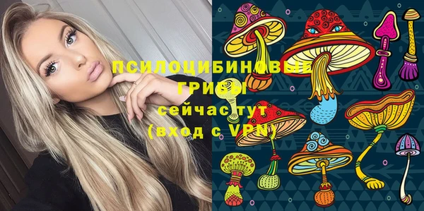 ПСИЛОЦИБИНОВЫЕ ГРИБЫ Гусев