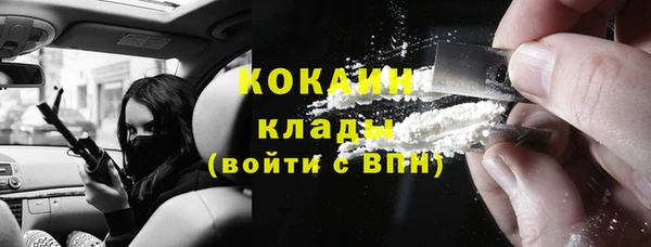 ПСИЛОЦИБИНОВЫЕ ГРИБЫ Гусев