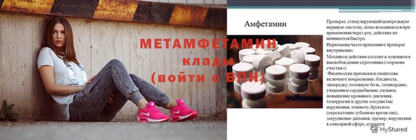 ПСИЛОЦИБИНОВЫЕ ГРИБЫ Гусев
