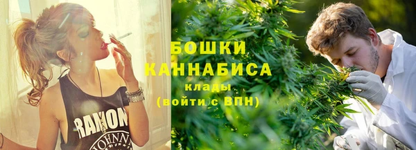 дурь Гусиноозёрск