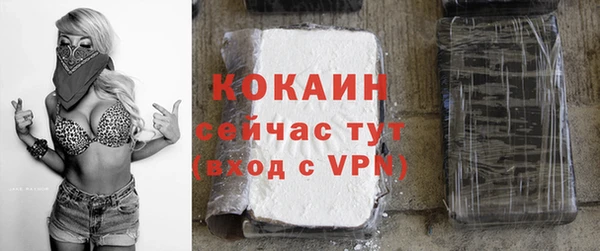 дурь Гусиноозёрск