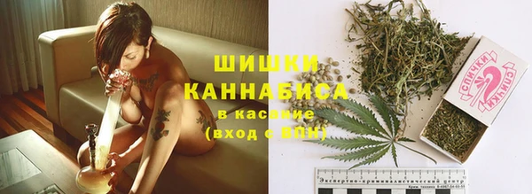 дурь Гусиноозёрск