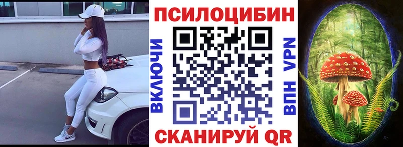 Купить  Строитель  Псилоцибиновые грибы мухоморы 